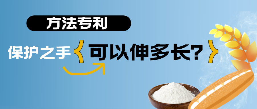小麥，面粉與面包——方法專利的保護(hù)之手，可以伸多長