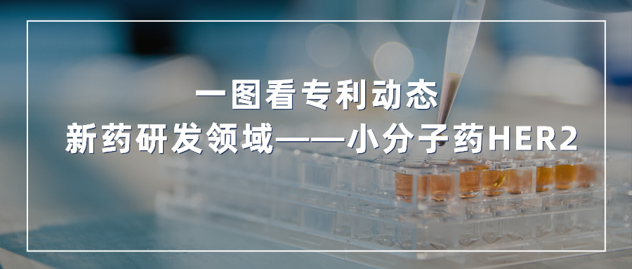 一圖看專(zhuān)利動(dòng)態(tài) | 新藥研發(fā)領(lǐng)域——小分子藥HER2